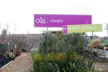 Vivaio