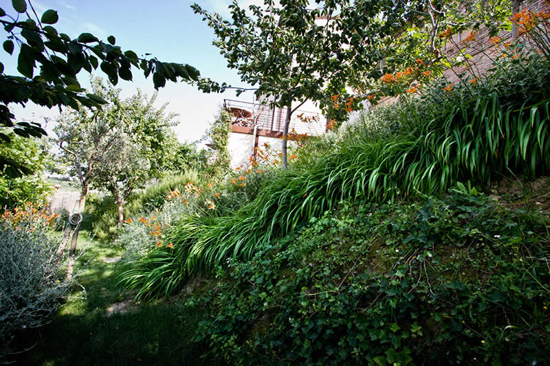 Giardino
