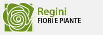 Regini Fiori e Piante