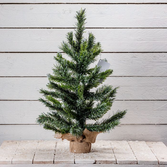 Albero verde punta bianca