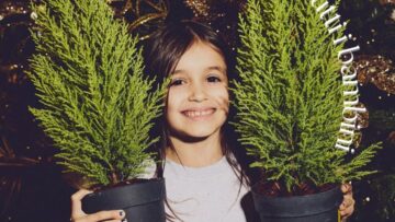 Un piccolo albero tutto loro