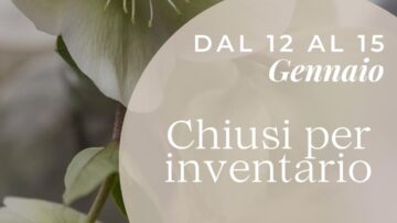 Chiuso per inventario